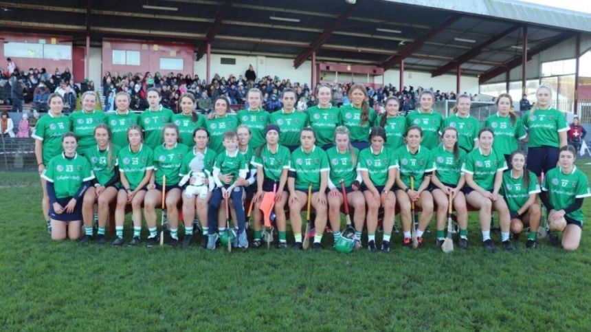 Sarsfields ready for tough Drom and Inch challenge in Saturday's All-Ireland Semi-Final