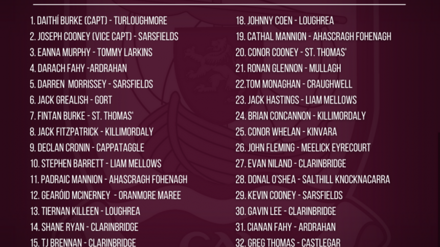 HURLING: Galway's 2022 Championship Squad Announced