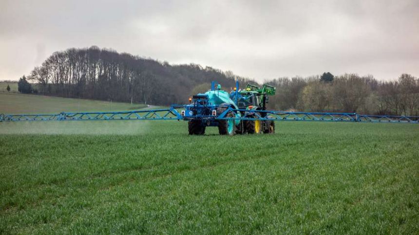 Galway grass growth above average this week