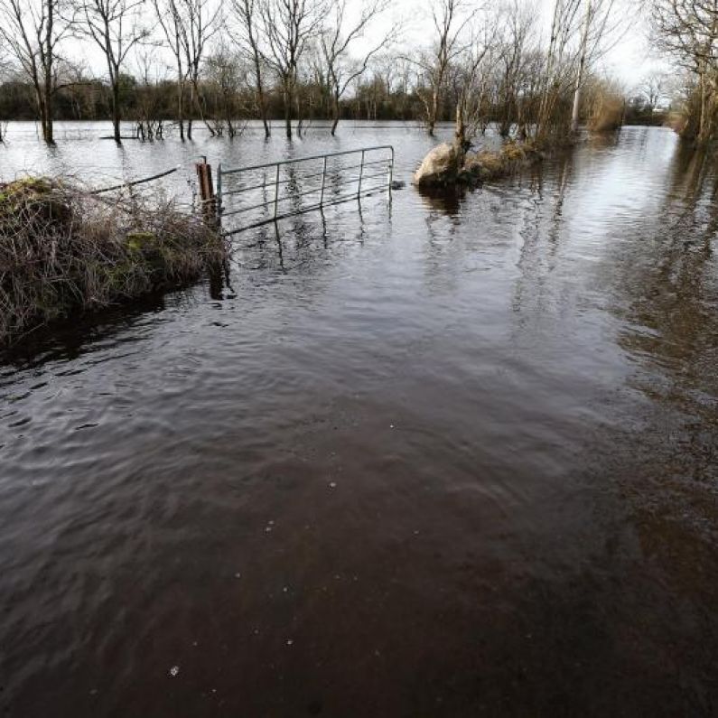 Councillor expresses frustration over slow timeline for South Galway Flood Relief Scheme