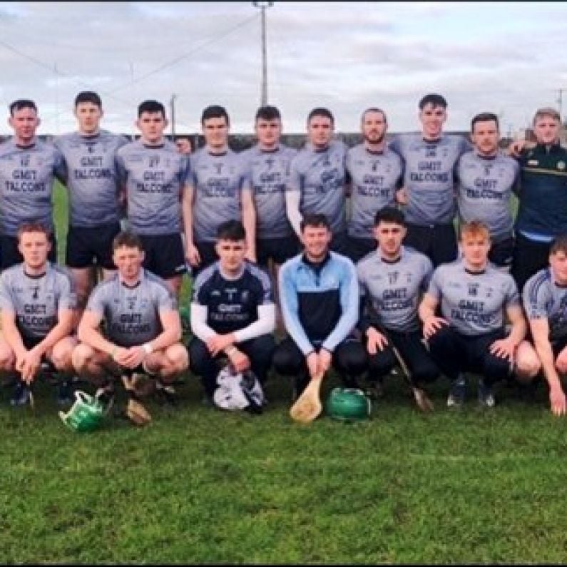 GMIT Hurlers book Fitzgibbon Cup Semi-Final spot