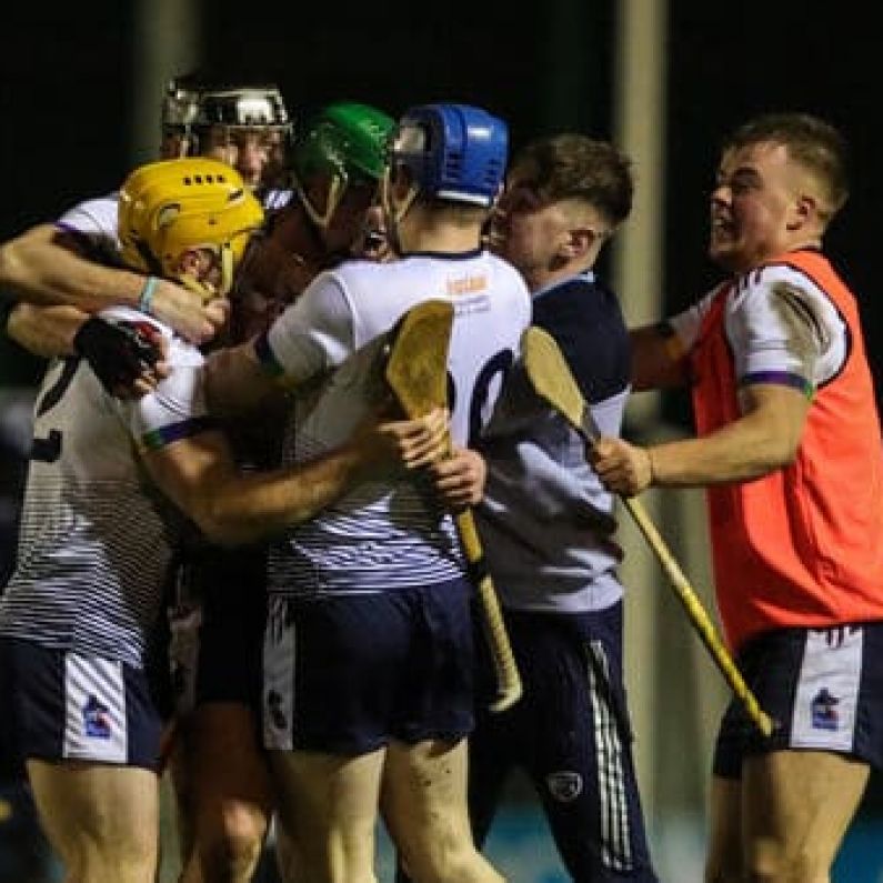 UL qualify for Fitzgibbon Cup final against NUIG