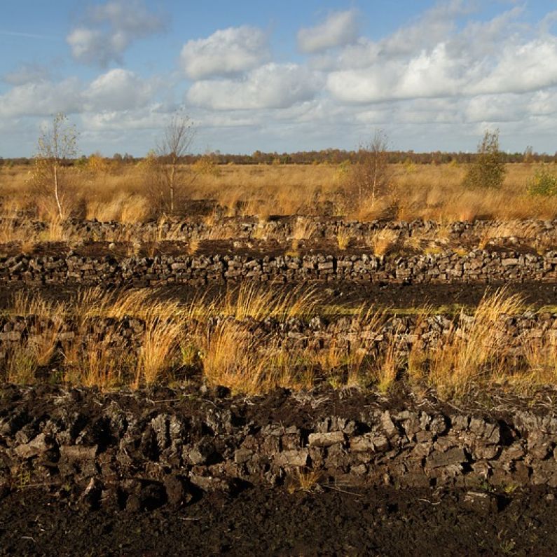 Galway TD tells Dáil Government in "cloud cuckoo land" in row over turf