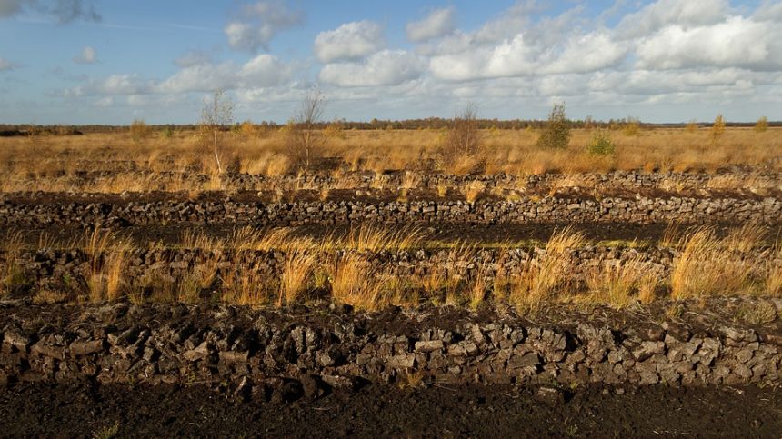 Galway TD tells Dáil Government in "cloud cuckoo land" in row over turf