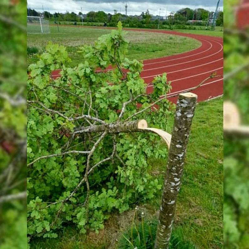 LISTEN: Vandalism over the Weekend - Westside Park and Claddagh Watch