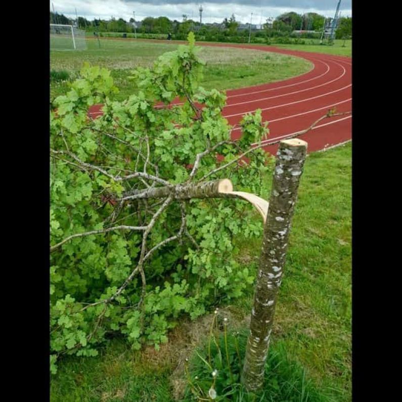 Councillor appeals to public for information on vandalism at Westside Park