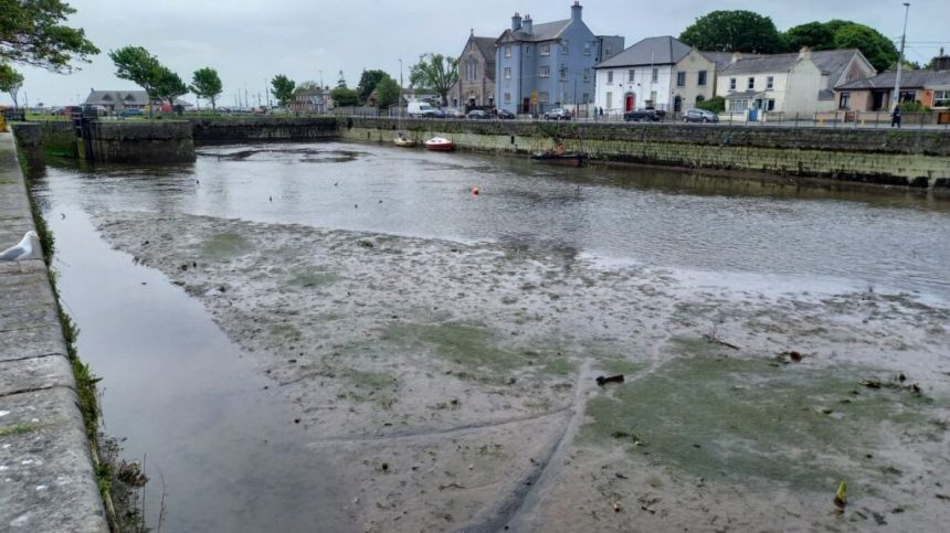 Two tonnes of litter removed from Claddagh Basin and Eglington Canal