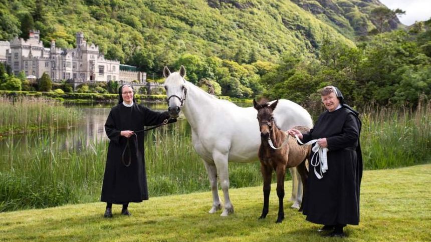 Kylemore Abbey partners with Irish National Stud to showcase Connemara Pony