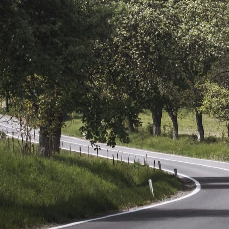 Confusion over responsibility for dangerous overhanging trees on county roads