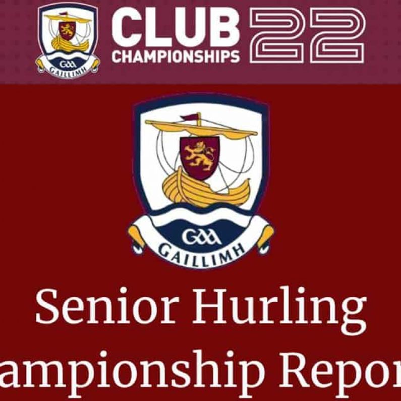 HURLING: Senior B Championship Play-Off Reports