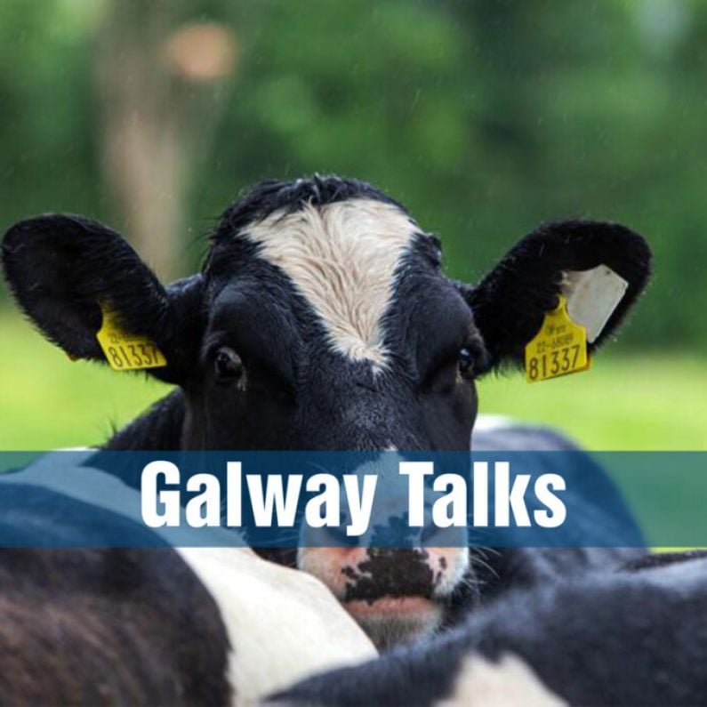 Warning To Farmers As Cattle Stolen on Galway Border