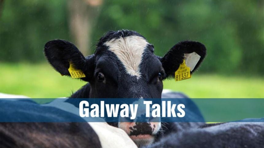 Warning To Farmers As Cattle Stolen on Galway Border