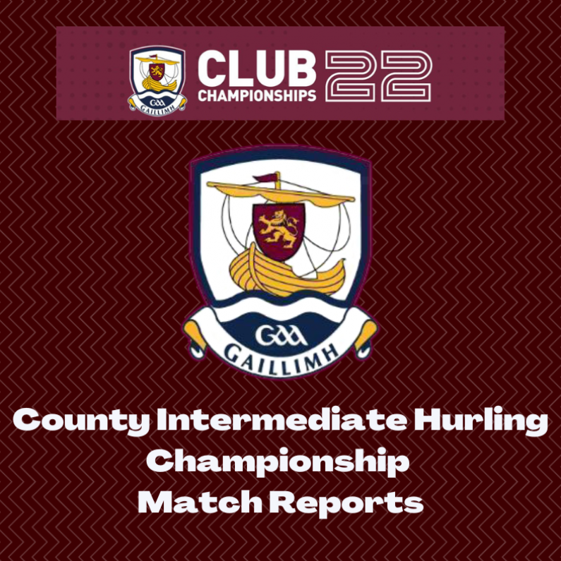 County Intermediate Hurling Championship Match Reports