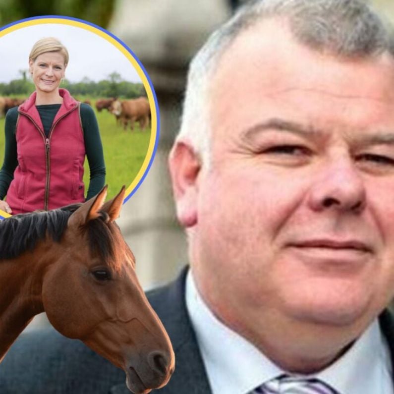 Local TD says Minister's suggestion farmers add horses to herds "embarrassing and gobsmacking"