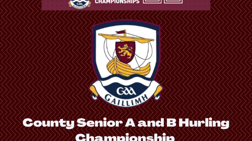 County Senior Hurling Championship Match Reports