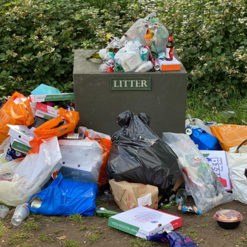 Galway pupils collect 5 tonnes of litter through "Picker Pals" programme