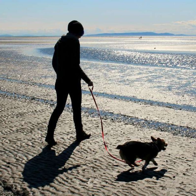 Consultation period extended for Draft Beach Bye-Laws as 1,000 submissions received