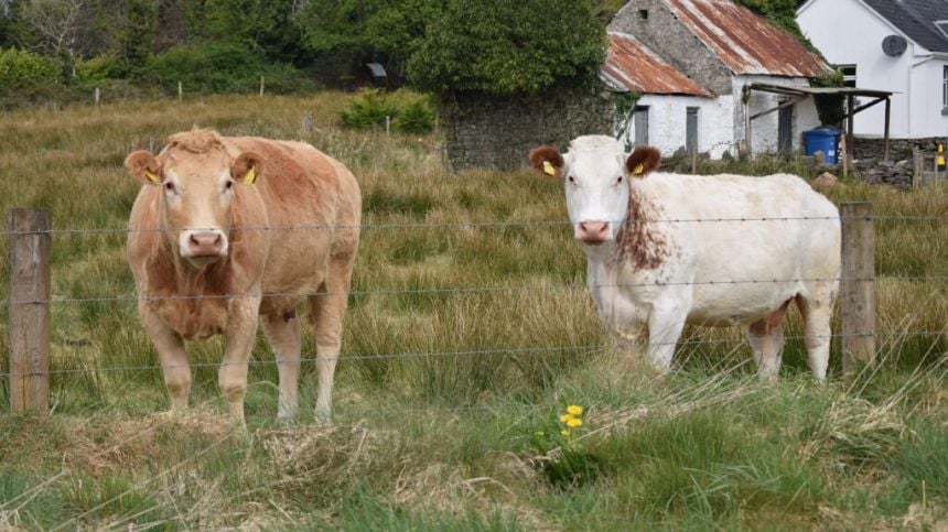 Galway farmers and fishermen among top beneficiaries of social welfare assistance last year