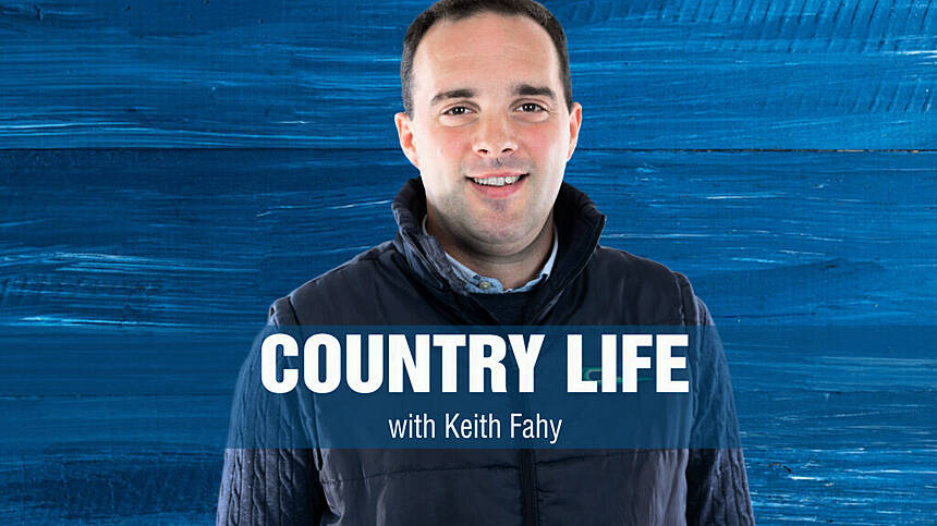 Country Life - Live from The Ploughing Championships