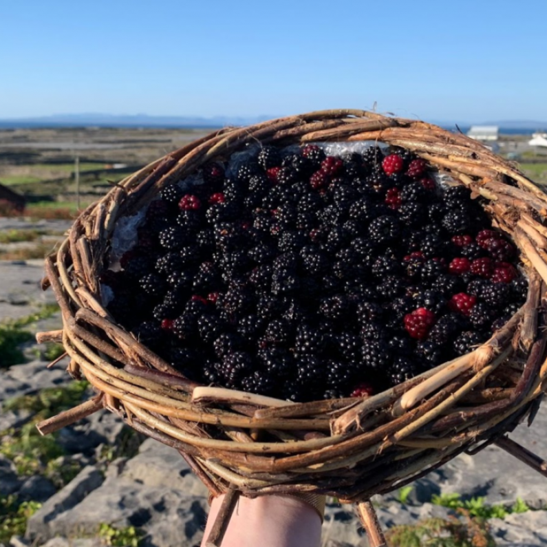 Inis Meáin to host unique blackberry festival this weekend