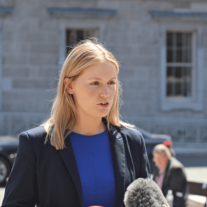 Local Deputy and Sinn Féin spokesperson for Rural Development calls on Minister Ryan to commit funding to rural roads and laneways