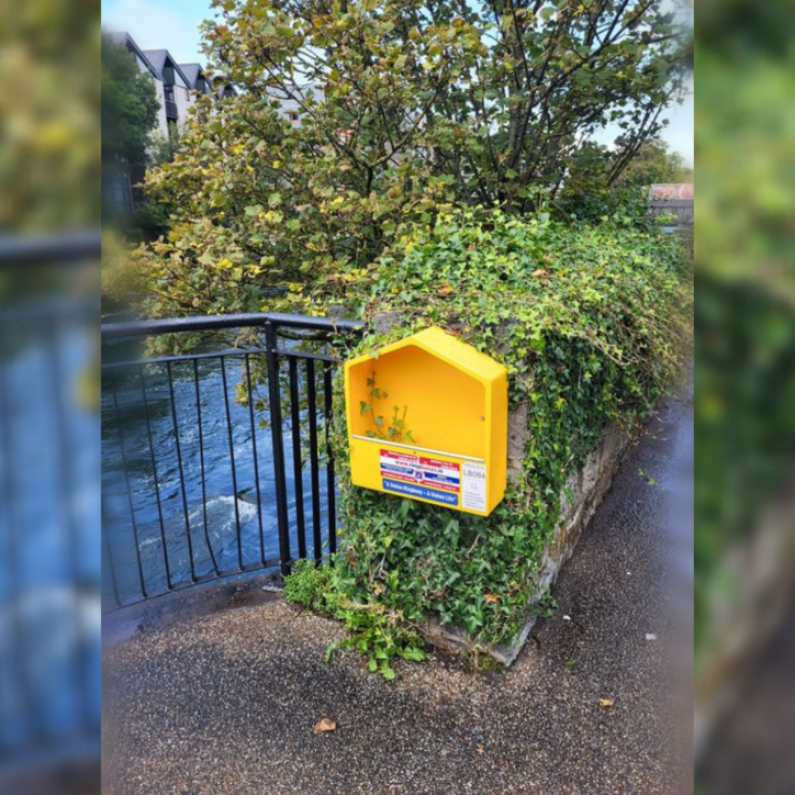 Appeal for public to leave lifebuoys in place after local theft