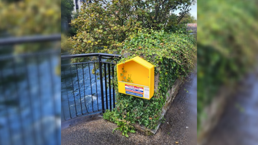 Appeal for public to leave lifebuoys in place after local theft