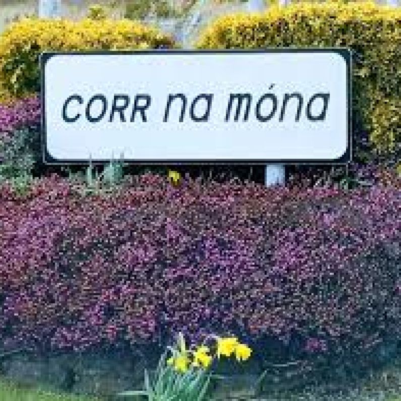 War of Independence volunteers to be commemorated in Corr na Móna