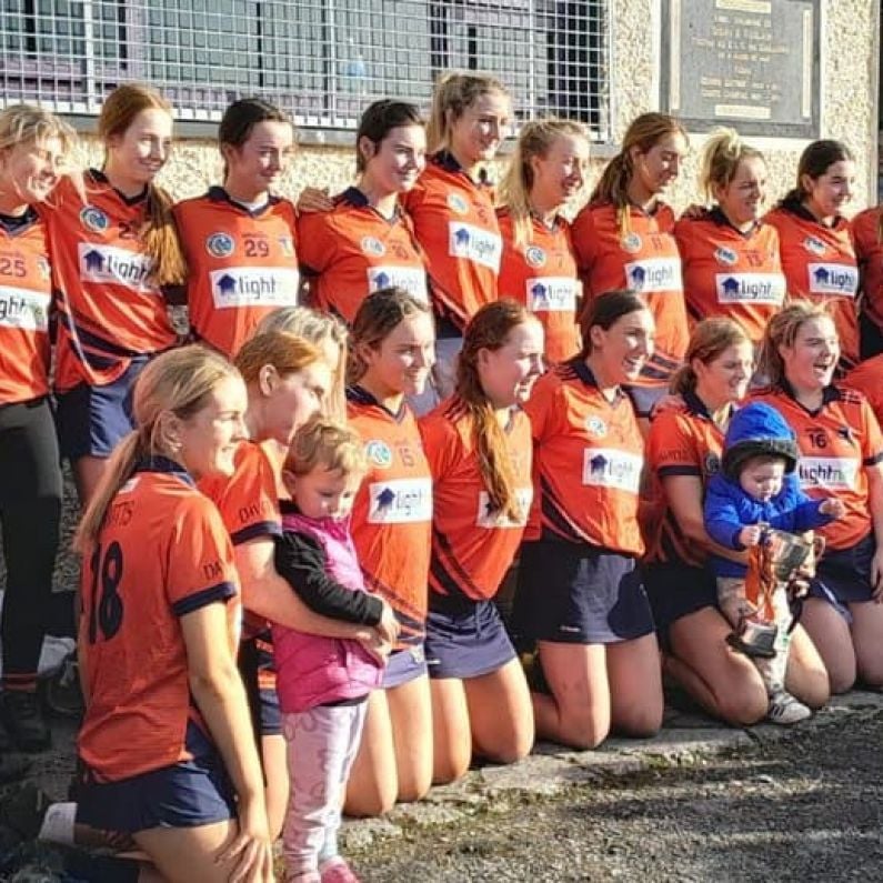 CAMOGIE: Davitts 1-14 St Thomas 2-8 (Senior B Final Report & Reaction)