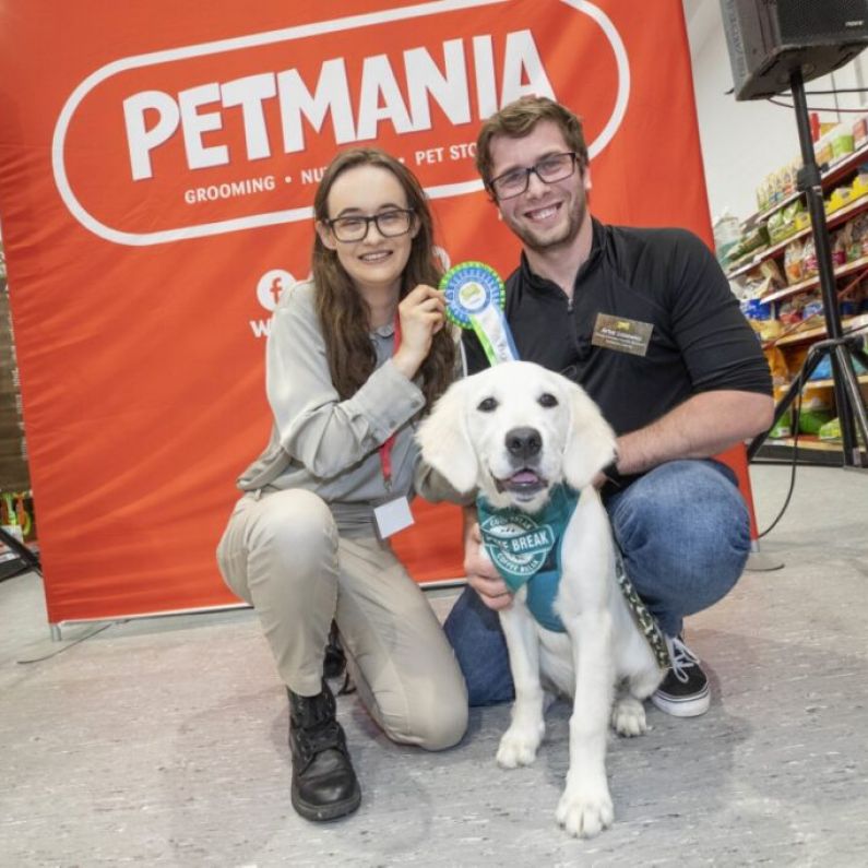 Loughrea pup excels against ruff competition at Puppy of the Year awards