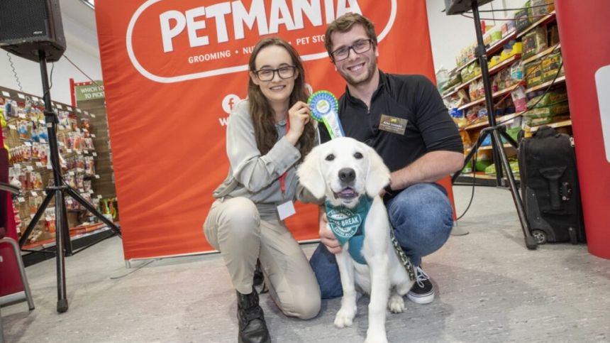 Loughrea pup excels against ruff competition at Puppy of the Year awards