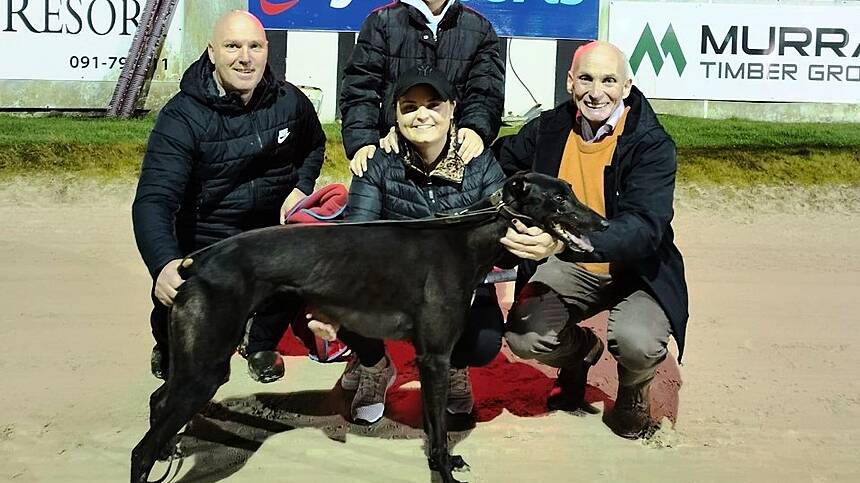 Rafa Mofo Breaks Track Record - Galway Greyhound Oaks Round One Review