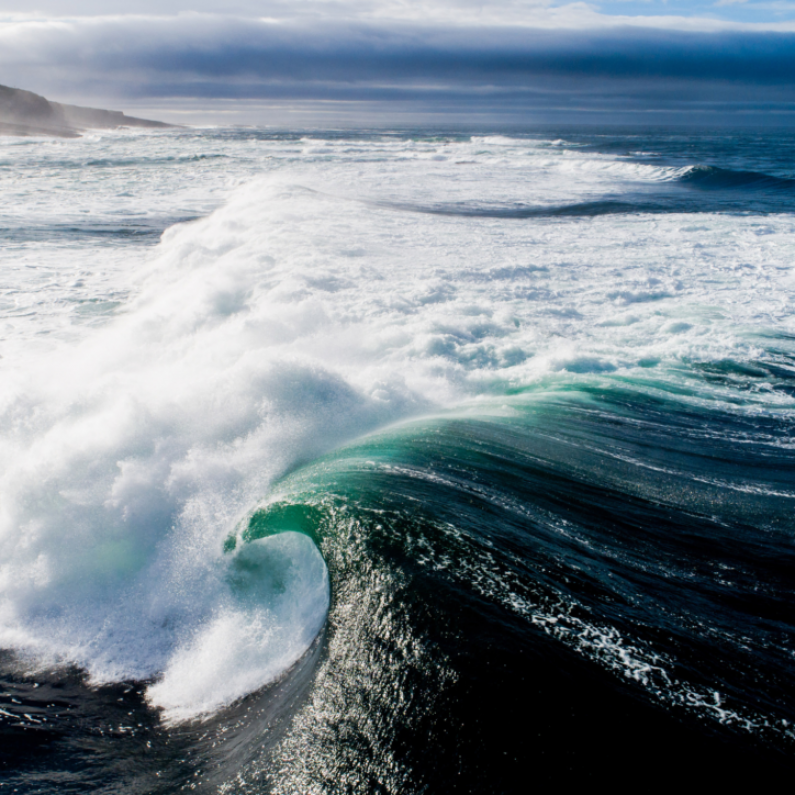 Univeristy of Galway part of €10m project on climate change and coastal pathogens