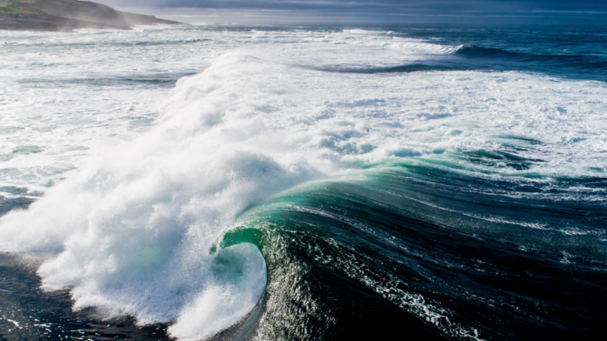 Univeristy of Galway part of €10m project on climate change and coastal pathogens