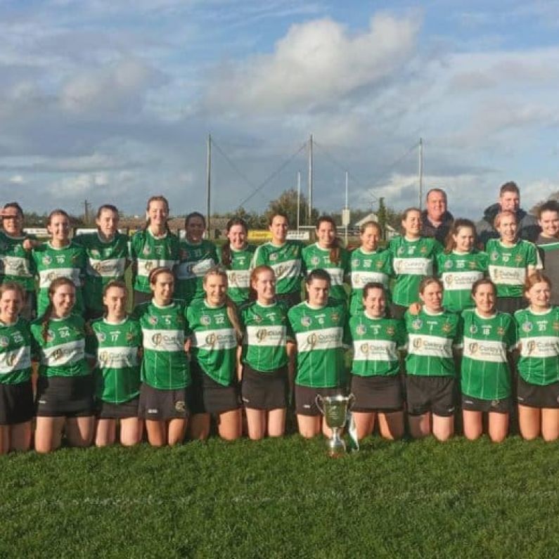 CAMOGIE: Castlegar vs James Stephens (All-Ireland Intermediate Semi-Final Preview)