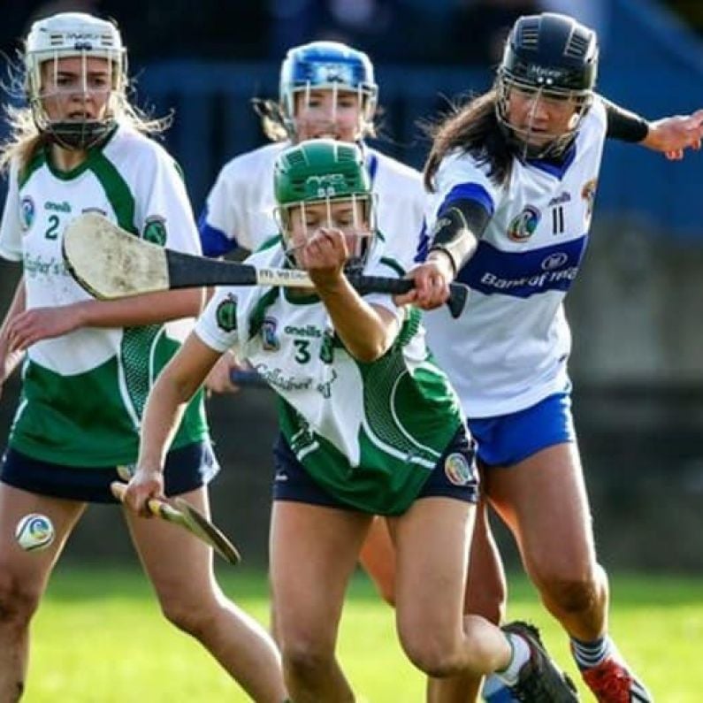 CAMOGIE: Sarsfields vs St. Vincent's (All-Ireland Senior Semi-Final Preview)