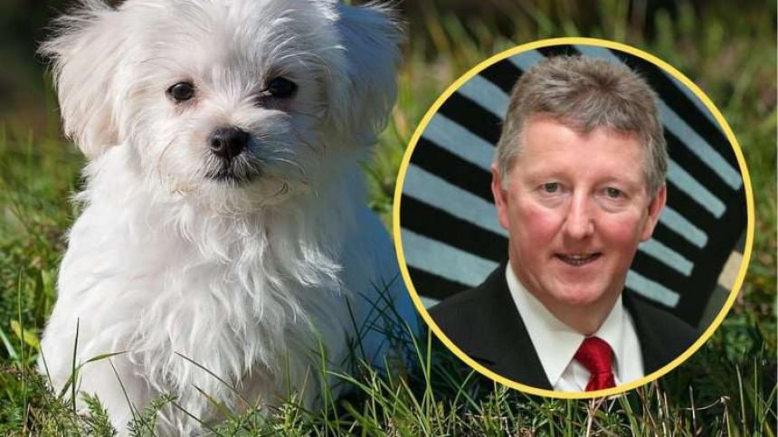 Sean Canney says new tougher laws for pet theft making good progress