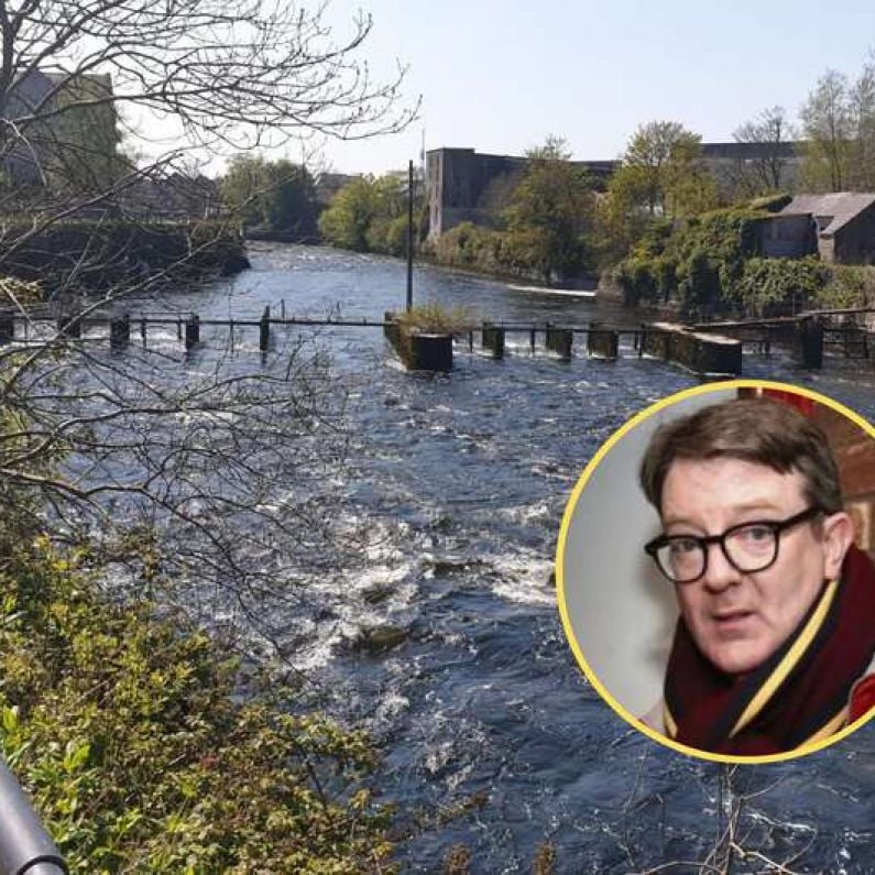 Call for works to remove dangerous steel structures from River Corrib in city