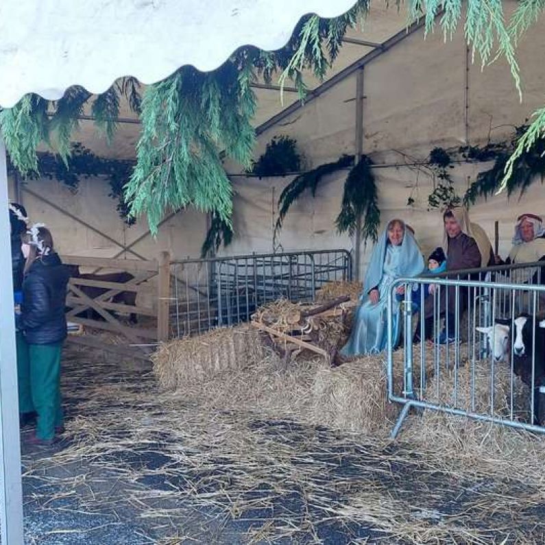 Galway Cathedral live crib returns after three years