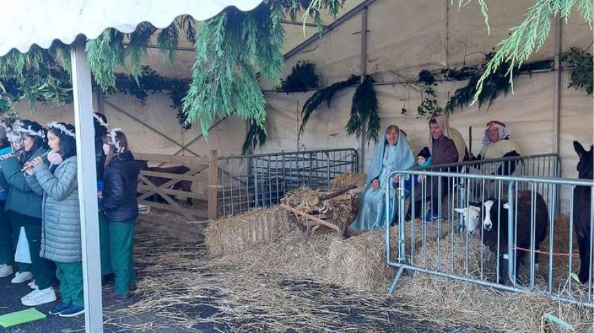 Galway Cathedral live crib returns after three years