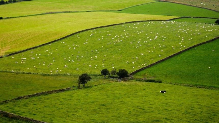 19 Galway Agricultural shows to share government allocation of 136 thousand euro