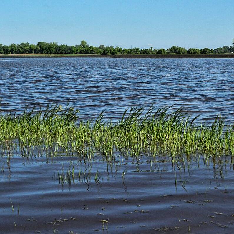 Ballinasloe Flood Relief Scheme to go to planning next year