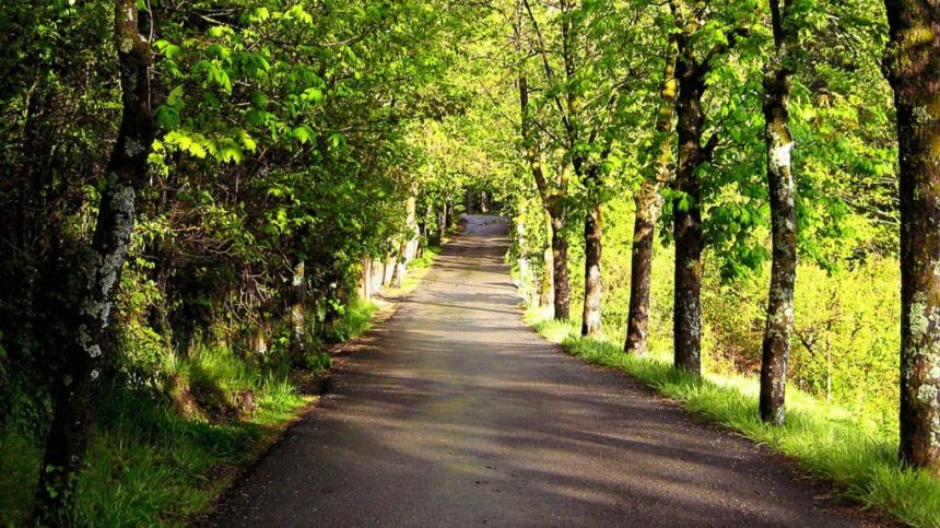 First Steps taken in developing new Greenway in Connemara