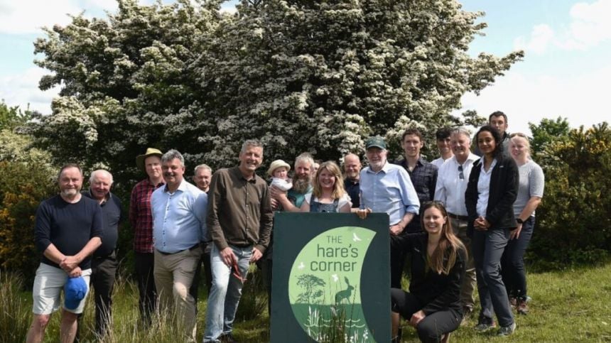 Innovative nature scheme comes to Galway city following successful pilot