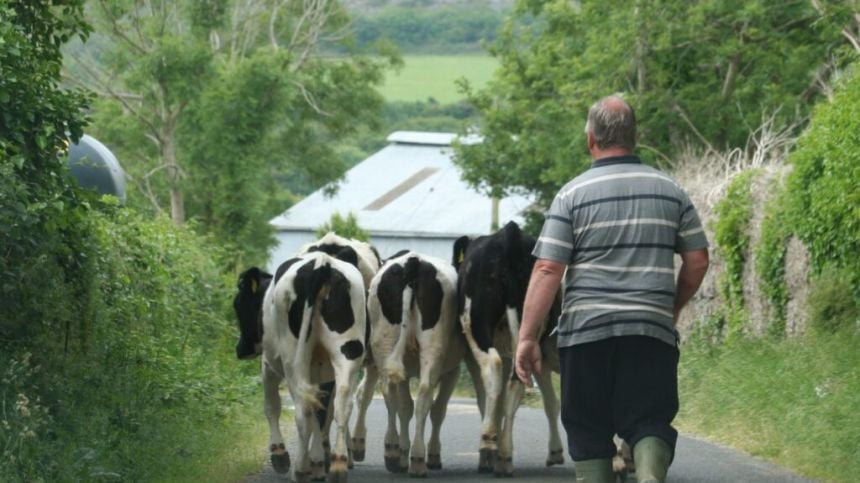 MEP candidate Ciaran Mulloolly says farmers being treated unfairly over water quality