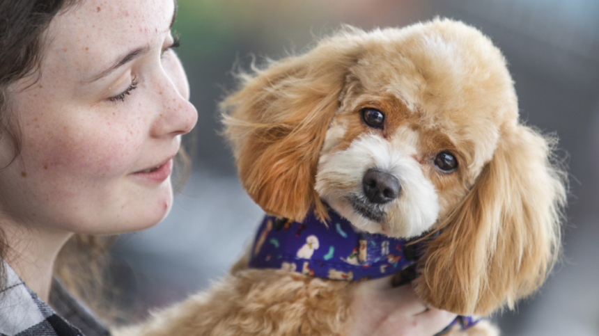 Petmania Host Puppy Care Classes Nationwide for New Pet Owners this New Year