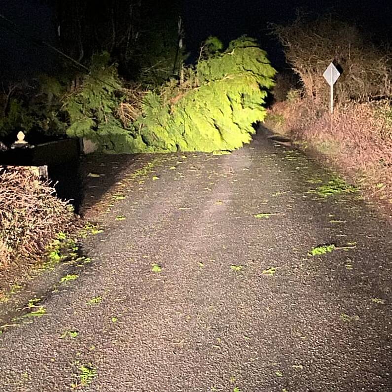 Councillor calls out abandonment of phone wires following recent storms