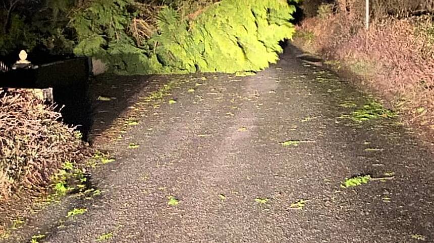 Councillor calls out abandonment of phone wires following recent storms
