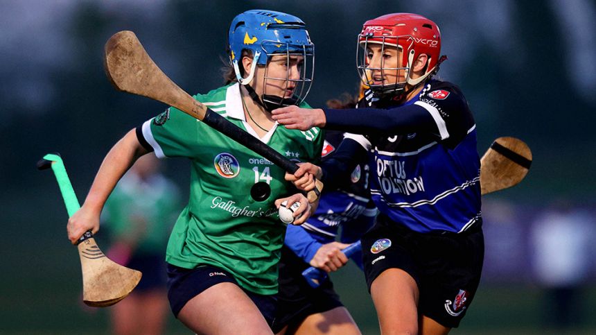 5 Sarsfields players on AIB Camogie Club Championship team of the Year