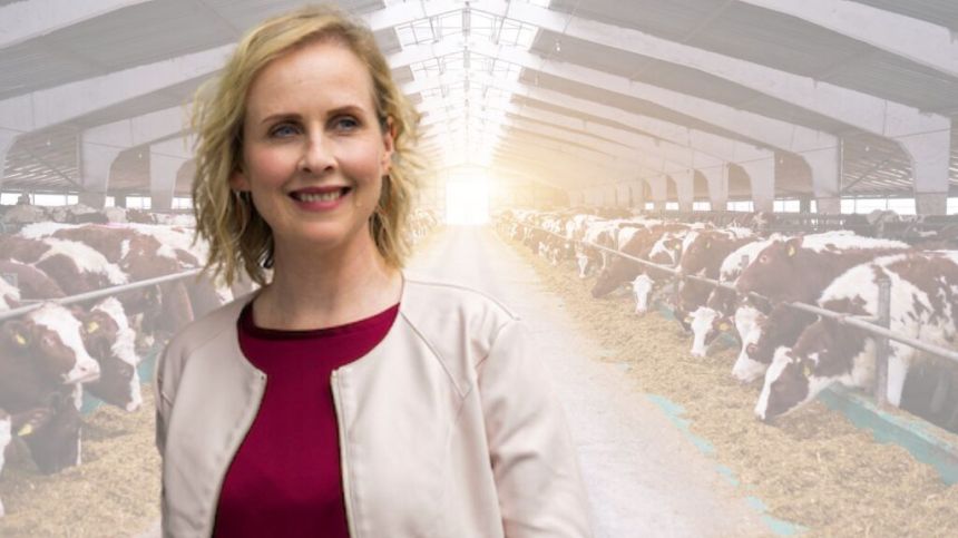 Green Party chair praises continued increase in organic farming across Galway